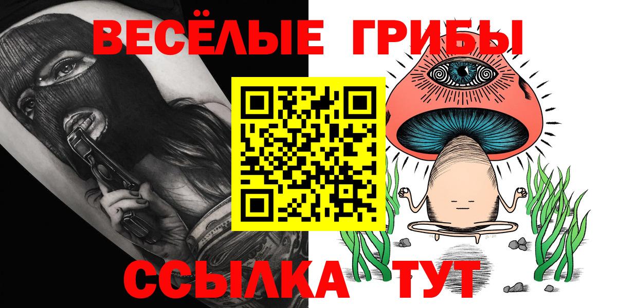Псилоцибиновые грибы GOLDEN TEACHER  Вход с VPN  Вологда 
