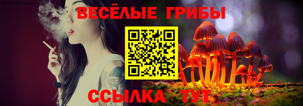 Галлюциногенные грибы прущие грибы Вологда